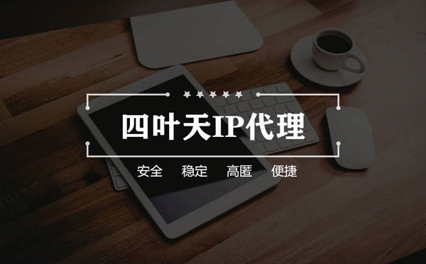 【马鞍山代理IP】如何快速搭建代理IP？怎么检查代理的效果？